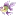 Guppys.com.au Favicon