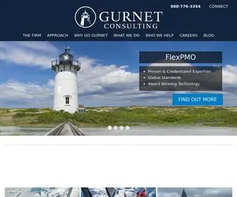 Gurnet.com(Gurnet Consulting) Screenshot