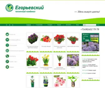 Guslica.ru(Егорьевский) Screenshot