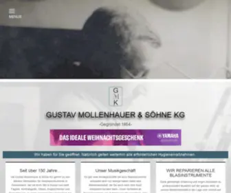 Gustav-Mollenhauer.de(Bei uns können Sie alle Blasinstrumente kaufen oder reparieren lassen. Eigene herstellung sind) Screenshot