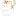 Guttulus.com Favicon