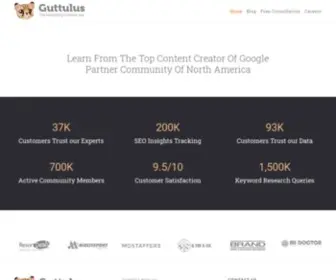 Guttulus.com(Guttulus Digital Marketing Agency) Screenshot