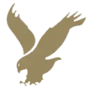 GVcfalcon.com Favicon