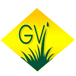 Gvisod.com Favicon