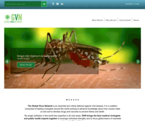 GVN.org(GVN) Screenshot