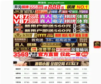 Gynaicai.com(巩义市嵩源耐火材料有限公司) Screenshot