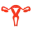 Gynekologie-Kokrhounova.cz Favicon