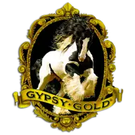 GYPSyvannerhorse.com Favicon