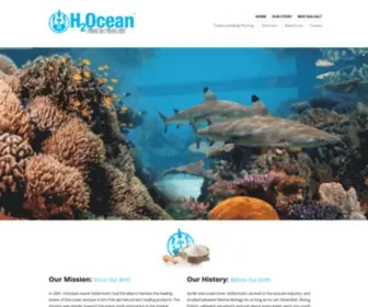 H2Ocean.com(Home) Screenshot