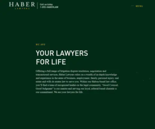 Haber-Lawyer.com(Haber Lawyers) Screenshot