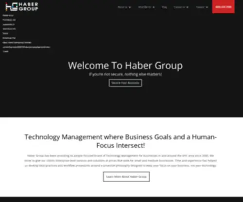 Habergroup.com(Haber Group) Screenshot