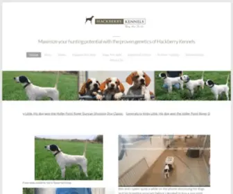 Hackberrykennels.com(Hackberry Kennels) Screenshot