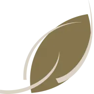 Hadleypark.co.uk Favicon