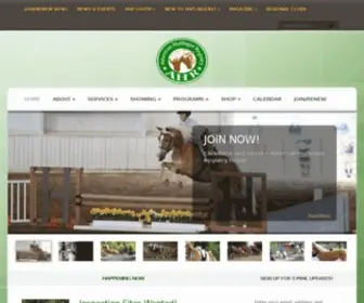 Haflingerhorse.com(American Haflinger Registry) Screenshot