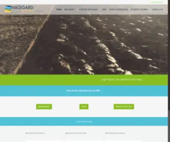 HaggardStores.com(Haggard Stores) Screenshot