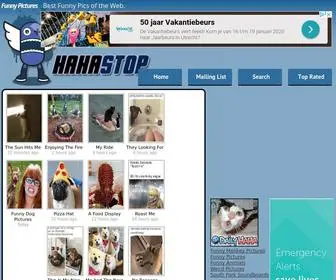 Hahastop.com(Contact with domain owner) Screenshot