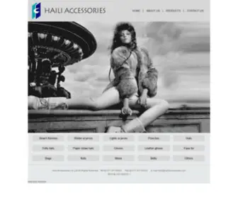 Hailiaccessories.com(Haili Accessories Co) Screenshot