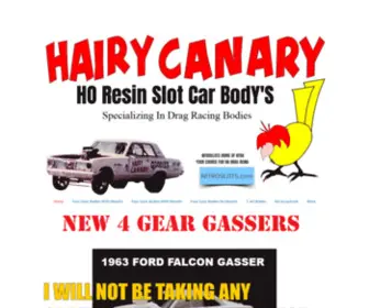 Hairycanaryracing.com(HO resin slot car bodies) Screenshot