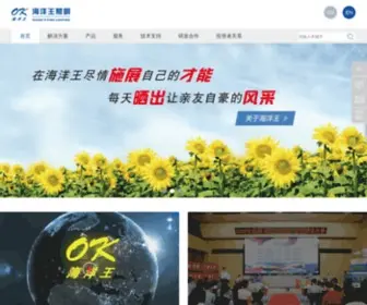 Haiyangwang.com(海洋王照明) Screenshot