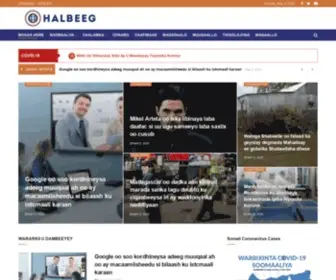 Halbeeg.com(Halbeeg News) Screenshot