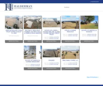 Haldermanauction.com(Halderman Real Estate Services) Screenshot