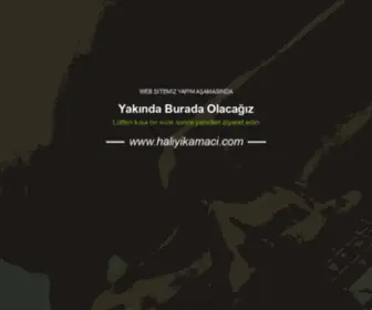 Haliyikamaci.com(Yılmaz Halı Yıkama ®®Yılmaz Halı Yıkama) Screenshot