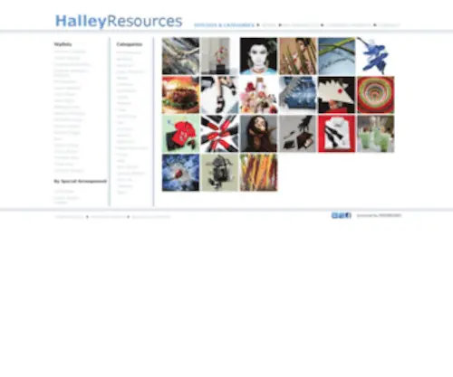 Halleyresources.com(Halley Resources) Screenshot