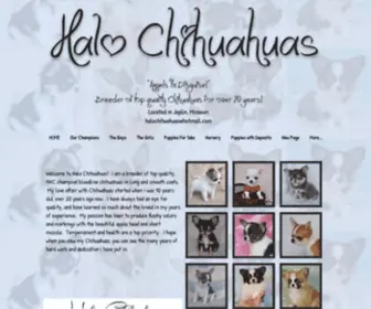 Halochihuahuas.com(Halo Chihuahuas) Screenshot