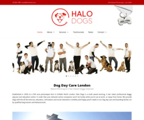 Halodogs.co.uk(Halo Dogs) Screenshot
