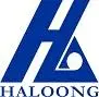 Haloong.com Logo