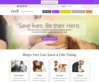 Halorescuefl.org(H.A.L.O. Rescue saves over 1500 animals a year. Our mission) Screenshot