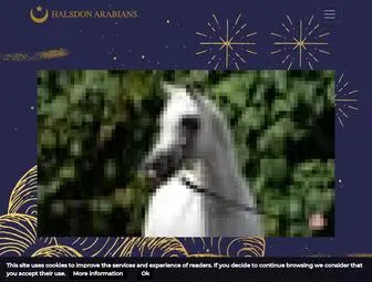 Halsdonarabians.com(Halsdon Arabians) Screenshot