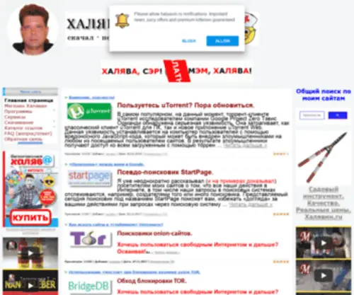 Halyavin.ru Screenshot