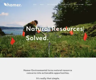 Hamerenvironmental.com(Hamer Environmental) Screenshot