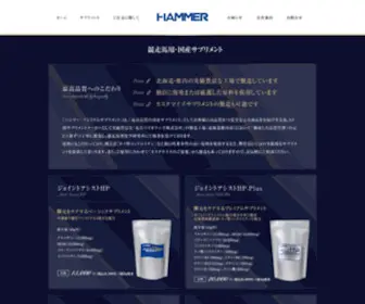 Hammerprice.co.jp(Hammerprice) Screenshot