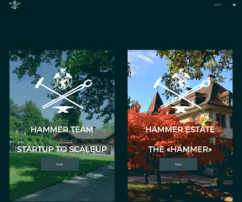 Hammerteam.ch(Hammer) Screenshot