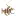 Hampoloclub.com Favicon
