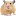 Hamster-Share.com Favicon