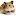 Hamstersweb.com Favicon