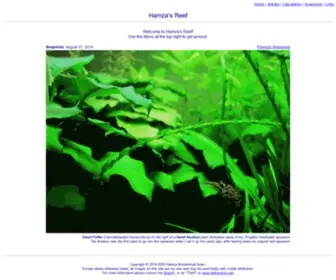 HamZasreef.com(Hamza's Reef) Screenshot