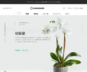 Hanamaro.jp(胡蝶蘭・花の通販サイトhanamaro(はなまろ)) Screenshot