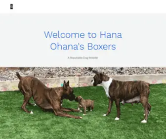 Hanaohanasboxers.com(Hana Ohana's Boxers) Screenshot