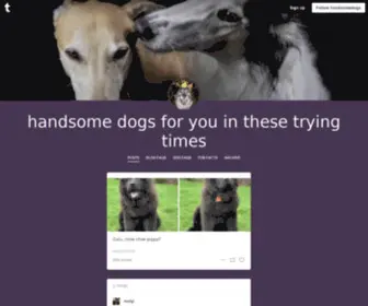 Handsomedogs.com(Handsome dogs for you in these trying times) Screenshot