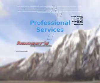 Hansers.com(Hanser's Auto Parts) Screenshot