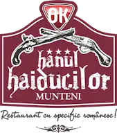 Hanulhaiducilor-Munteni.ro Favicon