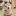 Haowenbo.com Favicon