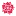 Hapispi.com Favicon