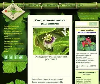 Happyflora.ru(Счастливые растения) Screenshot