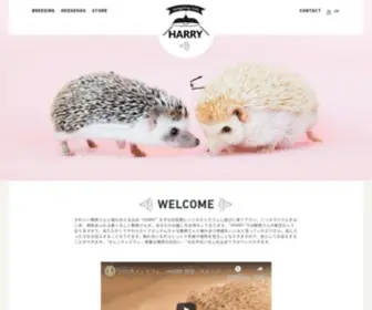 Harinezumi-Cafe.com(HARRY｜ハリネズミカフェ®（原宿、横浜）) Screenshot