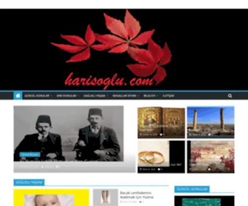 Harisoglu.com(Harisoglu) Screenshot